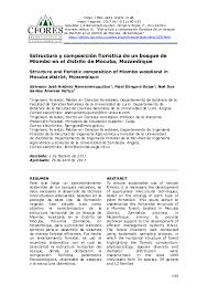 Image result for Monotes dasyanthus