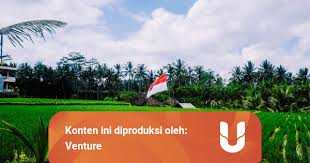 Langkah langkah untuk memajukan sektor pertanian di negara kita. Sudah Sejauh Mana Perkembangan Pertanian Indonesia Kumparan Com