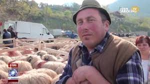 ExpoziÈ›ie De Mioare La MeteÈ™ Judetul Alba Youtube