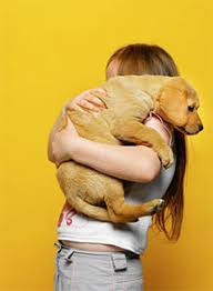 If you love your dog or cat and want to ensure they get the best care possible, a pet health while there are many pet insurance companies out there, pets best sets itself apart from the pack by offering. Wfg Aon Program Portal Pet Insurance Referral Program Aon