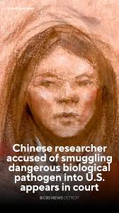 Elaine Rojas-Castillo