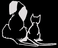 Check out optimal quality veterinary clinic furniture at fair prices and deals. Home Veterinarian In Paw Paw Mi Paw Paw Veterinary Clinic
