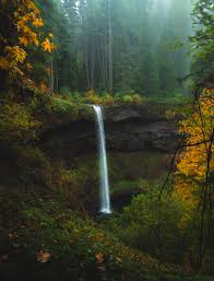 Accidentally took the 3 hour extended hike at Silver Falls but Im not even  mad! Silver Falls Stare Park, OR [OC] [4000x6000] : rEarthPorn