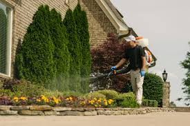 9362 marbella cove, cordova (tn), 38018, united states. Jamison Pest And Lawn Vs Master Lawn 2 Lawn Care Options For Memphis Tn