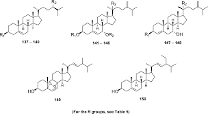 Image result for Entandrophragma delevoyi