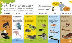 My Encyclopedia Of Very Important Things Dk 9781465449689 Books Amazon Ca Little Learners Learners National Geographic Kids