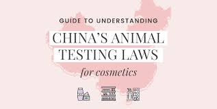 Understanding Chinas Animal Testing Laws 2018 Update