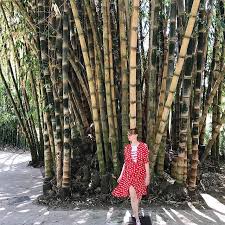 Froschkonzert im botanischen garten berlin. Heute In Palermo Essen Marktbesuch Essen Probieren Botanischer Garten Essen Ambretta Fahren Botanischer Garten Gesundheit Und Fitness Palermo