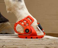 Pin On Horsey Stuff