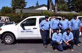 (sustainable methods and responsible treatments) branded services use the. Yuba City Pest Control Pest Solutions Yuba City Ca