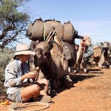 Google has declared war on the independent media and has begun blocking emails from naturalnews from getting to our readers. Ep 695 Walking Across Australia With Five Wild Camels Sophie Matterson