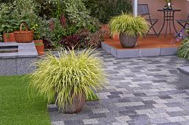 Growing ornamental grasses in containers is a great way to feature grasses without the worry of them spreading or taking over the garden. 9 Easy Tips For Growing Grasses The English Garden