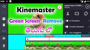 Download kinemaster premium version for free from our website and use all features for free. Kinemaster Effect Video Download Kinemaster Pro Apk Download 4 11 16 14372 Gp No Watermark 2020 For Android