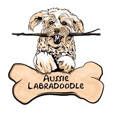We did not find results for: Aussie Labradoodle Startside Facebook