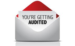 Check spelling or type a new query. Being Audited By The Irs 1040 Com Blog