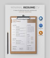 If the job requirement is for freshers only, employers. 30 Best Job Resume Templates With Simple Professional Examples 2020