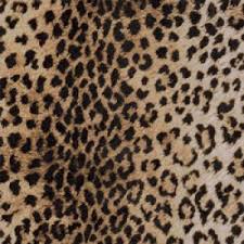 print gift wrap leopard print