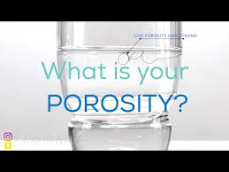 Daily application of light moisturizers and mildly cleansing shampoo. How To Find Out Your Hair Porosity Strand Test On High Low Porosity Natural Hair Samirah Gilli Youtube