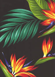 Tropical Birds Of Paradise Wallpaper Tropical Hawaiian Bird Of Paradise Flowers And Leafy Palm Fronds On A Cotton Poplin Apparel Fabric Birds Of Paradise Flower Flower Painting Birds Of Paradise