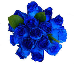 Our products include roses, petals, hydrangeas, callas, lilies, eucalyptus, garlands, mums, carnations, baby's breath, peonies, anemones, hardgoods +more! Amazon Com 2 Dozen Farm Fresh Blue Roses Bouquet By Justfreshroses Long Stem Fresh Blue Rose Delivery Farm Fresh Flowers Grocery Gourmet Food