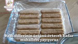 Labnesiz Kedi Dilli Tiramisu Tarifleri