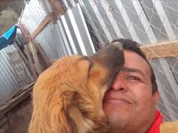 Rescatando perritos y gatitos tegucigalpa