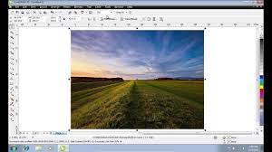How To Crop Image In Coreldraw Youtube