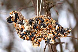 Birdseed Ornaments Without Gelatin Fireflies And Mud Pies