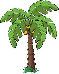 Le palmier s'est fait une place dans le placard des français ! Dessin Palmier Dessin Palmier Plage Palmier Dessin Dessin Jungle Clipart Arbre