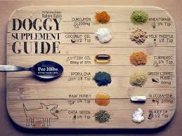 Doggy Supplement Chart Planet Paws