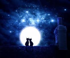 Romantic full moon pictures hd. Kittens Romantic Night Stars Roof Sky Silhouette Two Full Moon Kitties Hd Wallpaper Peakpx