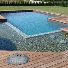 Find Out Best Large Indoor Plants For Your Home Or Office Tall Houseplants Look Fascinating And Create The Il Natural Swimming Pools Pool Houses Swimming Pond