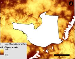 Image result for Loudetia kagerensis