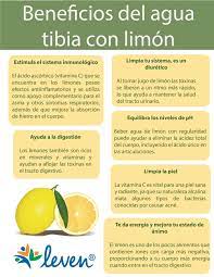 Pin On Beneficios Del Agua Tibia Con Limon