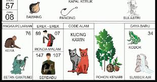 Untuk itu maka hadir lah situs buku mimpi online yang dapat membantu anda dalam mencari kode keberuntungan. Angka Mimpi 07 Dalam Buku Mimpi 2d Bergambar