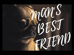 Man's best friend is a 1993 horror film written and directed by john lafia (child's play 2). Man S Best Friend 2018 Imdb