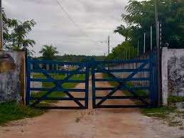 Resultado de imagem para Bandidos invadem granja em MacaÃ­ba
