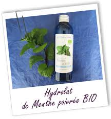 Hydrolat De Menthe Poivree Bio Menthe Poivree Menthe Hydrolat