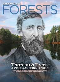 Thoreau & Trees: