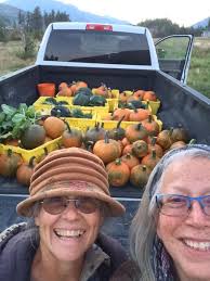 Spapium Little Prairie Farm