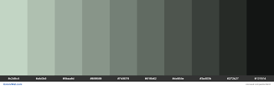 Your comfort is our focus and expertise, but we also put an emphasis on design and personalization. Shades Of Sea Mist Color C2d5c4 Hex Hex Rgb Codes