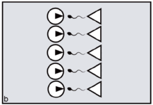 Reproductive Synchrony Wikipedia The sound and picture have to synchronize perfectly. reproductive synchrony wikipedia