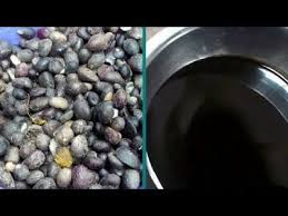Bibi 16 Benefits Of Palm Kernel Oil Palm Kernel Oil Oils How To Stay Healthy