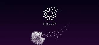 No cardano doesn't have a slashing system which some other staking platforms do so the ada you stake to the network can never be impacted, you how does staking actually work? Cardano S Phase 2 Shelley Proof Of Stake Passive Income Vacuumlabs