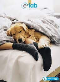 Icinizi Isitan Bir Gun Diliyoruz Iyi Pazarlar Follow Likes Like Goodafternoon Warm Hap Cok Sirin Hayvanlar Golden Retriever Sevimli Kopek Yavrulari