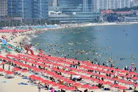 지역 내 상세단계 있음 서울 2.5 부산 2.5 대구 2 인천 2.5 광주 2 대전 2 울산 2 세종 2 경기 2 강원 2 충북 2 충남 2 전북 2 전남 2 경북 2 경남 2 제주 2 전국 Tzic3asbmkp3xm