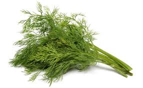 معنى البقدونس للبنت العزباء للمتزوجه للحامل للمطلقه للرجل المتزوج و الاعزب. Ù…Ø§Ù‡Ùˆ ØªÙØ³ÙŠØ± Ø§Ù„Ø´Ø¨Øª ÙÙŠ Ø§Ù„Ù…Ù†Ø§Ù…