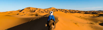 Camels are one of the most iconic animals of the sahara. 3 Day Desert Tour Fes To Merzouga Dunes