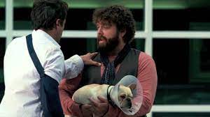 La nuova pellicola d'animazione per grandi e piccini sarà nelle sale italiane il 21 ottobre. Parto Col Folle Trailer Italiano Hd Topcinema It Youtube