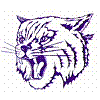 Crete-Monee Varsity Football @ Thornton